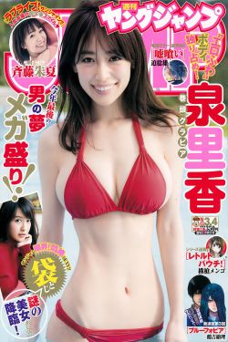 飞黄腾达第三季
